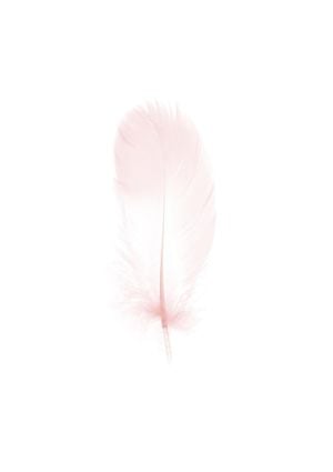 Pink Feather 21x30