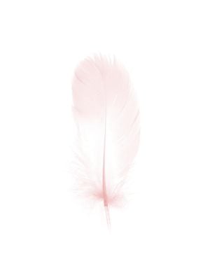 Pink Feather 30x40