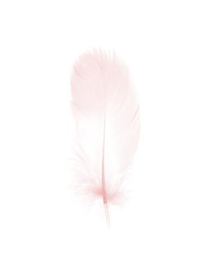 Pink Feather 40x50