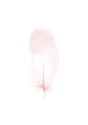 Pink Feather 70x100