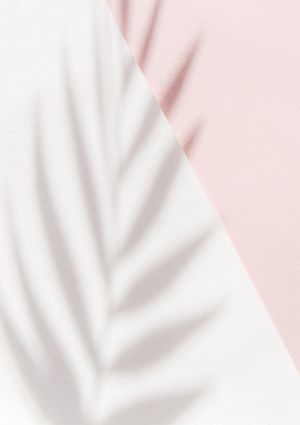 Pink Palm Shadow 21x30