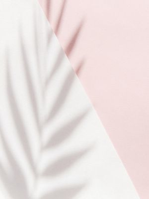 Pink Palm Shadow 30x40