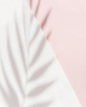 Pink Palm Shadow 40x50