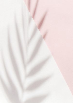 Pink Palm Shadow