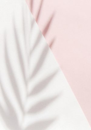 Pink Palm Shadow 70x100