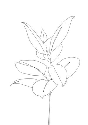 Plant Blueprint 21x30