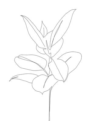 Plant Blueprint 30x40