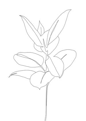 Plant Blueprint 50x70