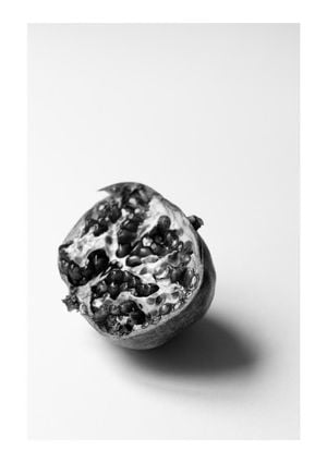 Pomegranate Study 1 21x30