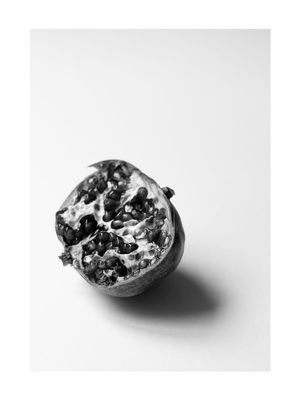 Pomegranate Study 1 30x40