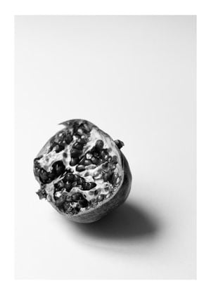 Pomegranate Study 1