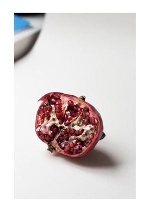Pomegranate Study In Color 2 21x30
