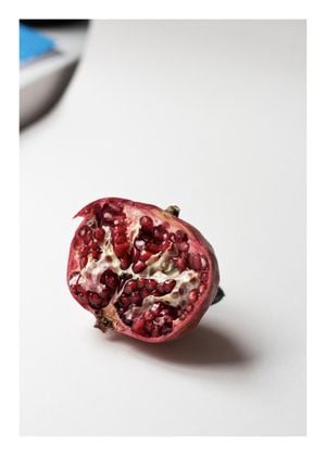 Pomegranate Study In Color 2