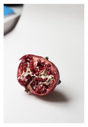 Pomegranate Study In Color 2 70x100