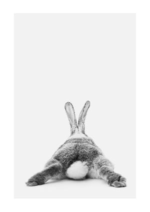 Rabbit Reclining 21x30