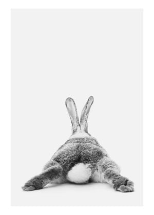 Rabbit Reclining 50x70