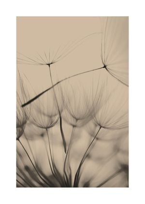 Inverted Dandelion