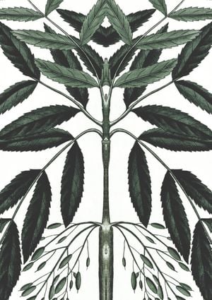 Refurnished Vintage Herb Reflection 21x30