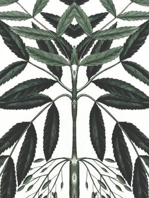 Refurnished Vintage Herb Reflection 30x40