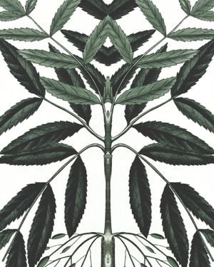 Refurnished Vintage Herb Reflection 40x50