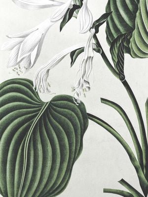 Refurnished Vintage Plant 30x40