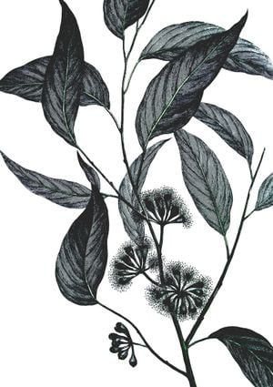 Refurnished Vintage Wild Eucalyptus 21x30