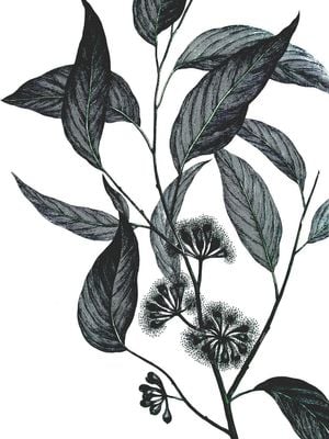 Refurnished Vintage Wild Eucalyptus 30x40