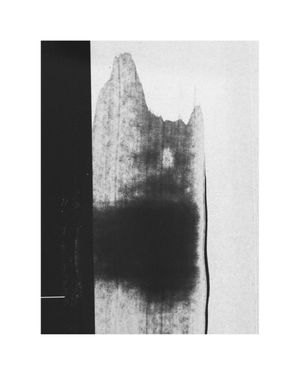 Shadow Of 40x50