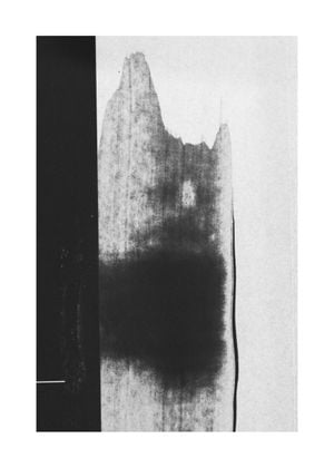 Shadow Of 50x70