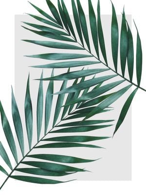 Sheer Leaves 30x40