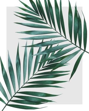 Sheer Leaves 40x50