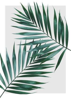 Sheer Leaves