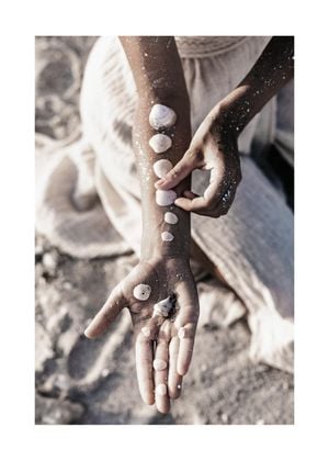 Shells