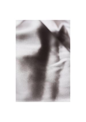 Silk 1 21x30