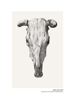 Skull Of A Cow 2 30x40