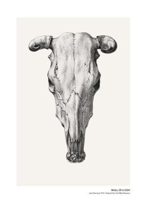 Skull Of A Cow 2 70x100