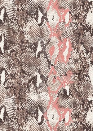 Snakeskin 21x30