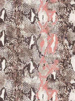 Snakeskin 30x40