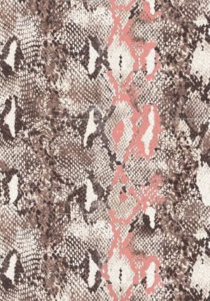 Snakeskin 70x100