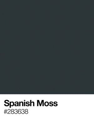 Spanish Moss 50x70