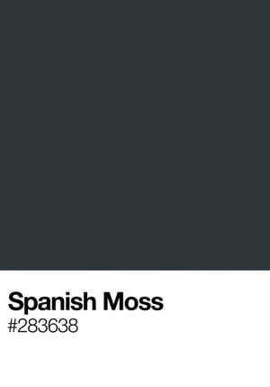 Spanish Moss 70x100