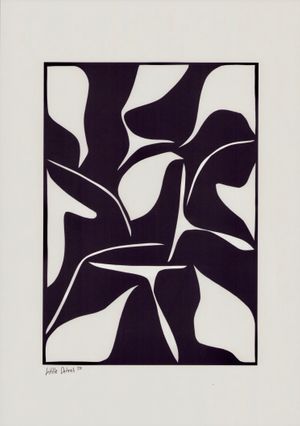 Still In Contrast 50x70