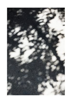Sun Shadow 21x30
