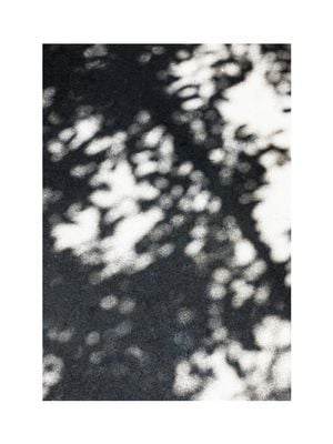 Sun Shadow 30x40