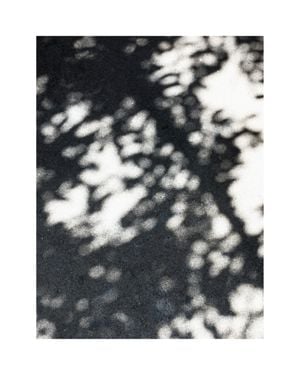Sun Shadow 40x50