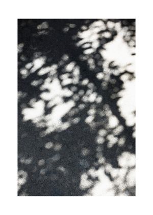 Sun Shadow