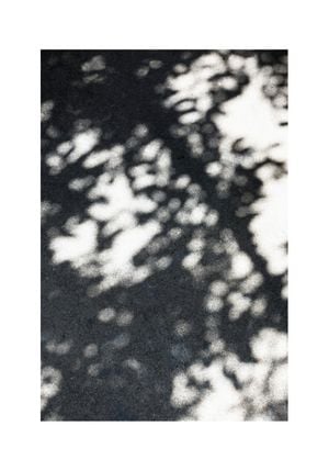 Sun Shadow 70x100