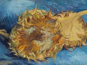 Sunflowers By Van Gogh 40x30