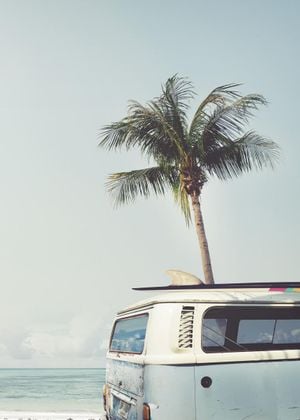 Surf Van
