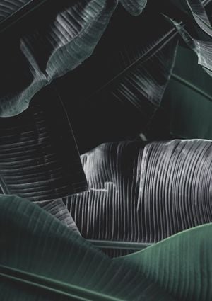 That Is Bananas 21x30